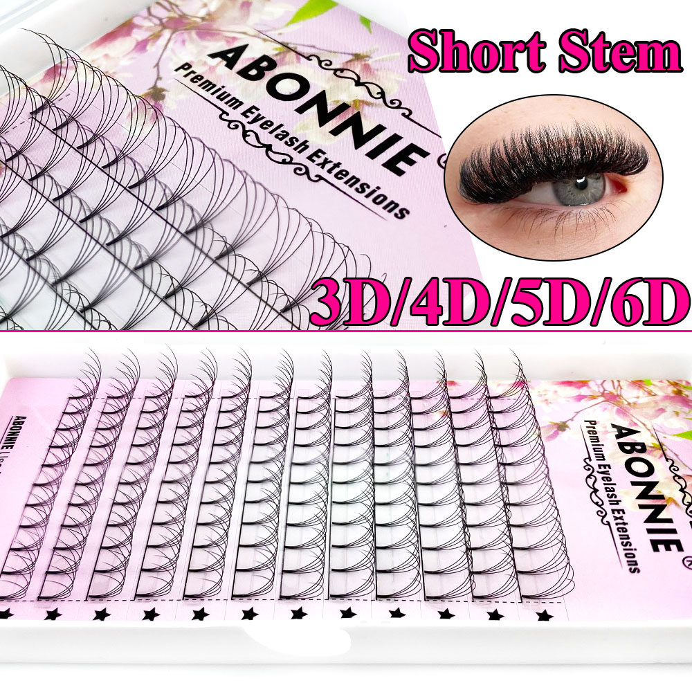 アボニー6Dナローファンプレメイドファン ロシアンボリューム - Lash Fan Volume のレビューと価格